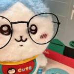 chen xin